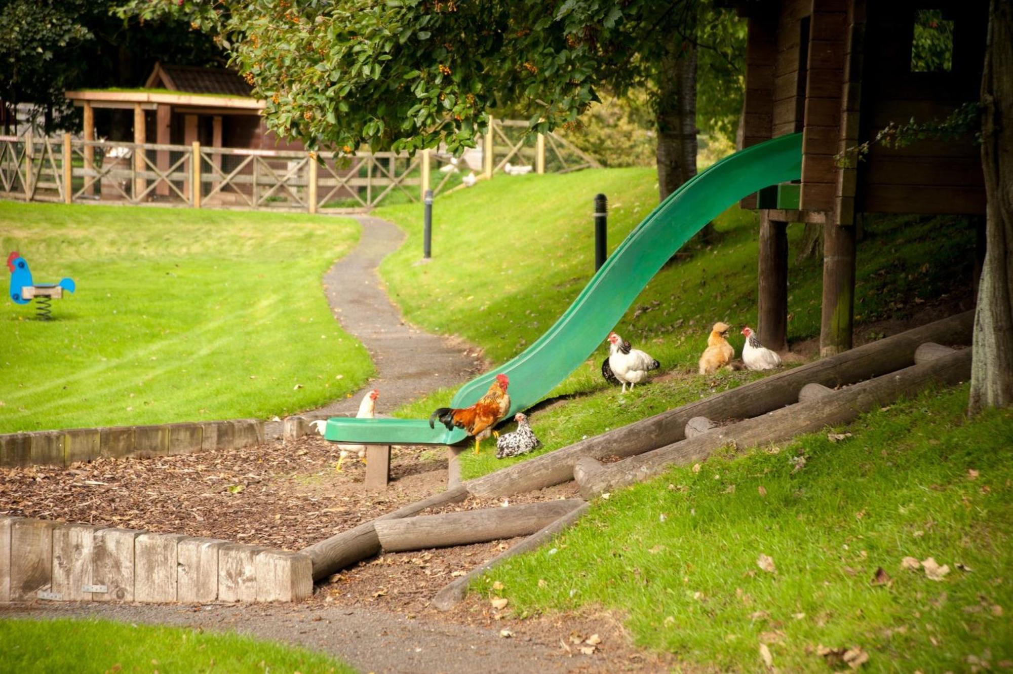 River Edge Lodges Bridge of Earn Exterior foto